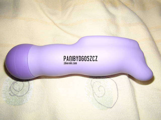 co to jest - panibydgoszcz