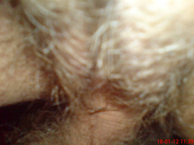 DSC00030.JPG - koteczki78