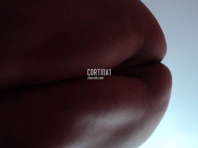 kot 071.jpg - cortina1