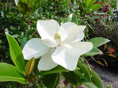 Dla Ciebie i Ciebie  :))