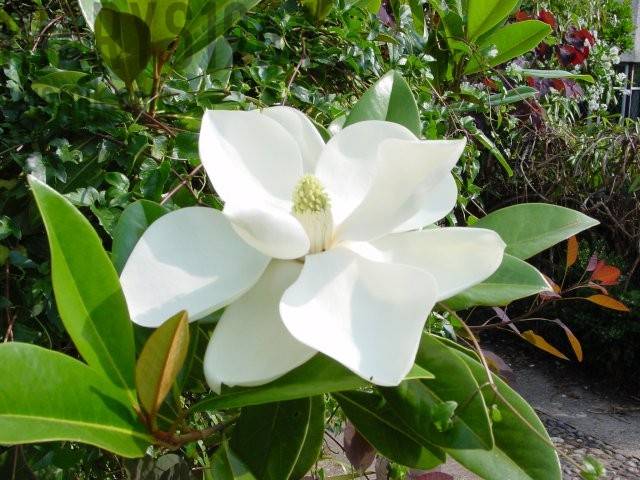 Dla Ciebie i Ciebie  :)) - marys1964