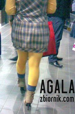 Zdjęcie055kol.jpg
