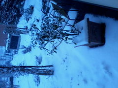 Foto-0075.jpg