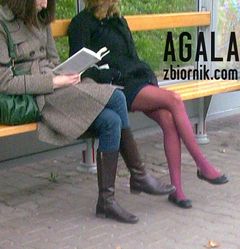 Fiol096kol.jpg