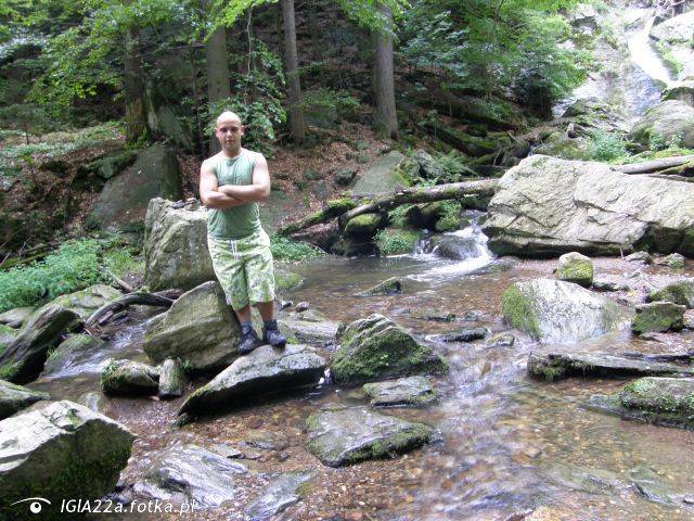 9865290_800_s.jpg - Tajfunek25