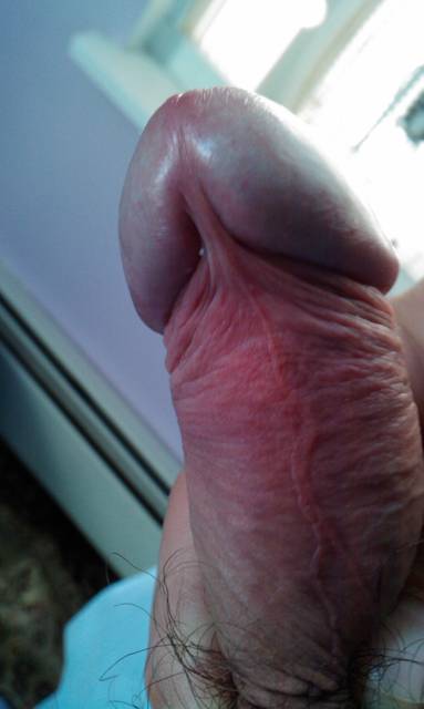 IMAG0321.1.jpg - ny39
