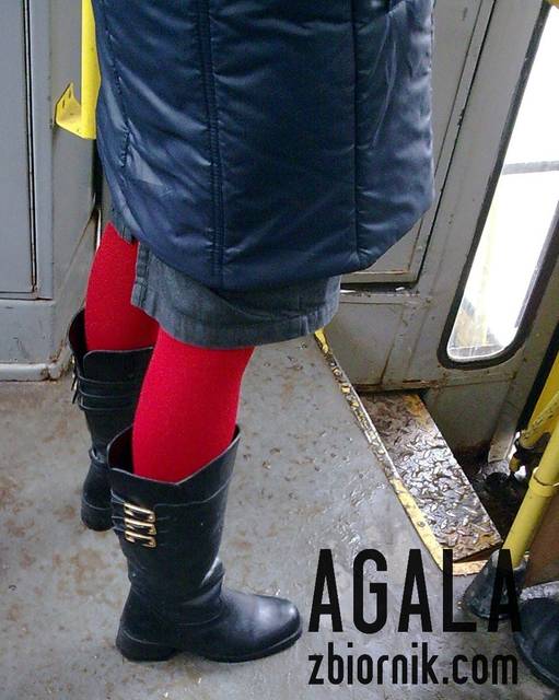 Zdjęcie016kol.jpg - AGALA