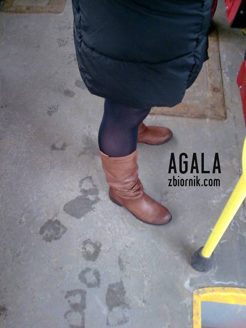 Zdjęcie035cz.jpg - AGALA