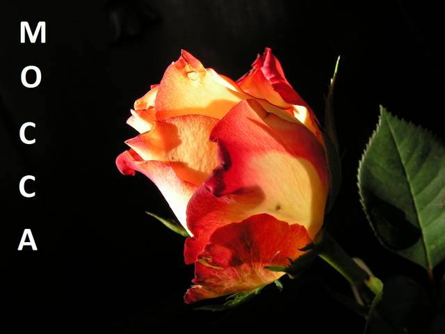 Dla przyjaciółki.... - Sedecrem