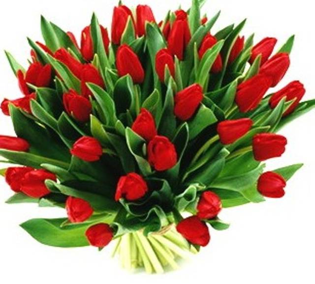 kwiaty-na-dzien-kobiet.jpg - dago64