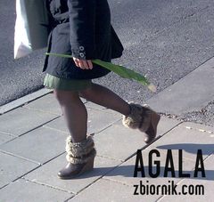 Zdjęcie320kol.jpg