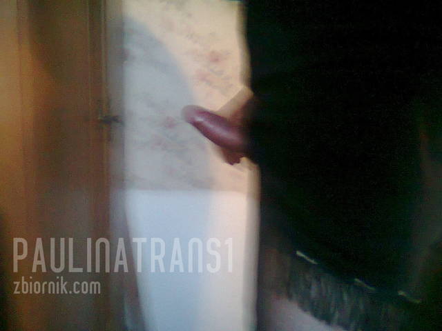 zdjęcie0126.jpg - paulinatrans1