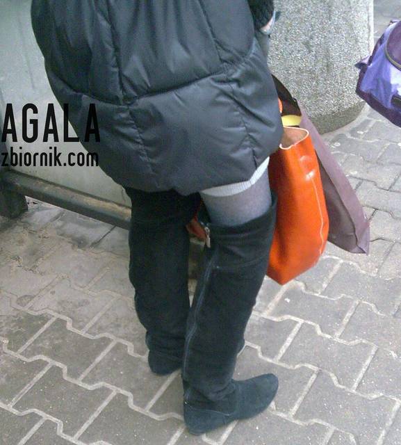Zdjęcie344odj.jpg - AGALA