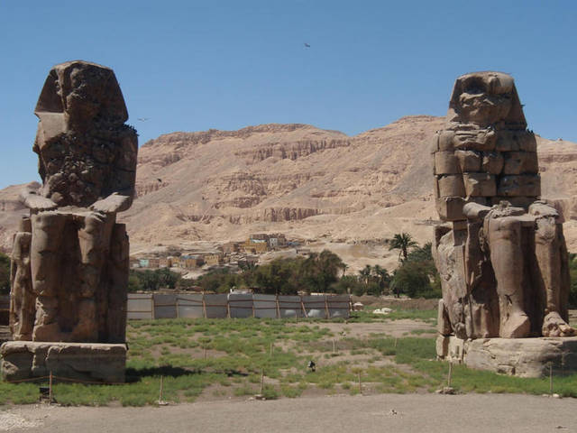 d67c01347b.jpeg - brzoskwinka68