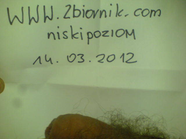niskipoziom