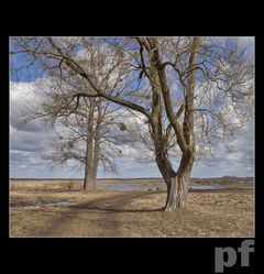 JESZCZE WIEJE CHŁODEM