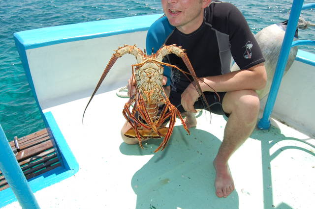 DSC_0389.JPG - iszki