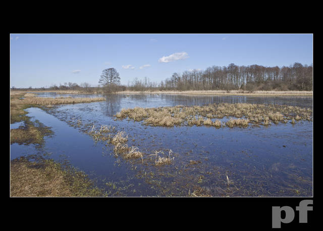 ŻURAWIE ŁĄKI - panfoto
