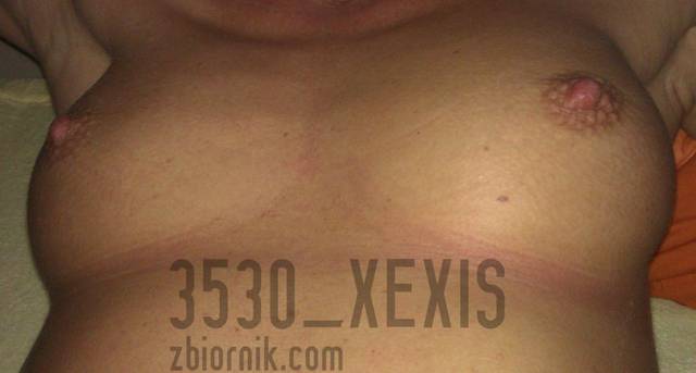 Suteczki - 3530_Xexis