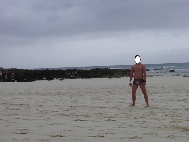 wakacje - tygrys2727