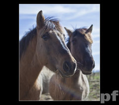 ... tylko żarcie w głowie ...