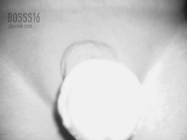 Zdjęcie0133.jpg - bosss16