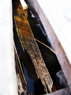 sunshadowsonsomething