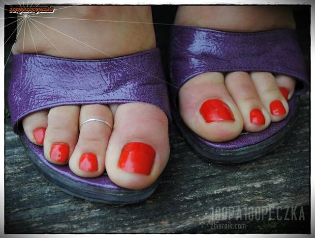 Fioletowe 16 - 100pa100peczka