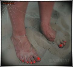 na leśnej drodze  03