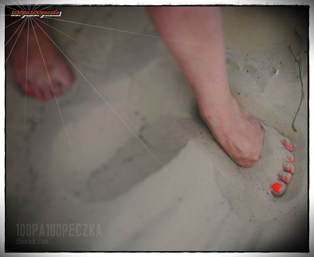 na leśnej drodze  04 - 100pa100peczka