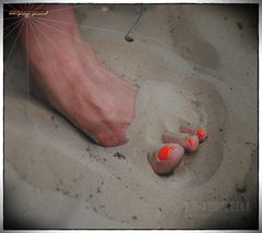 na leśnej drodze  06