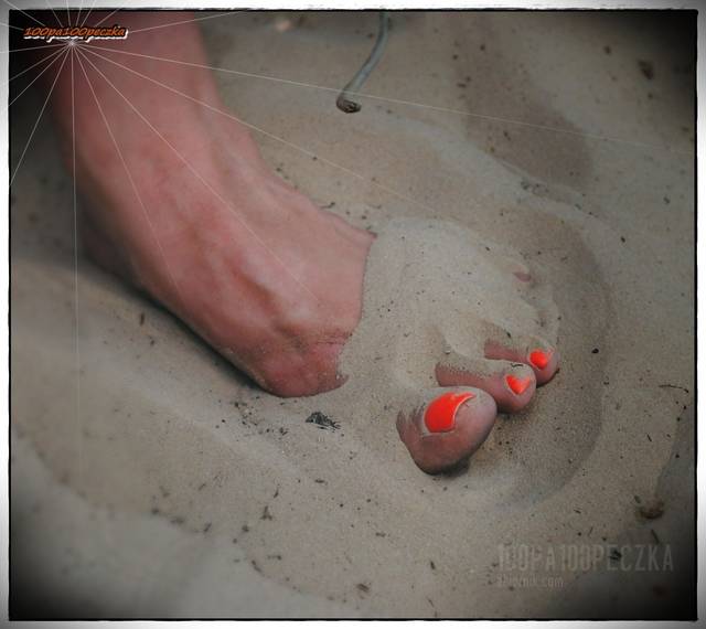 na leśnej drodze  06 - 100pa100peczka