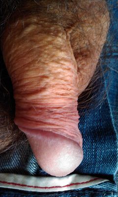 IMAG0373.1.jpg