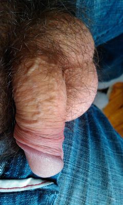 IMAG0381.1.jpg