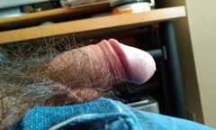 IMAG0394.1.jpg