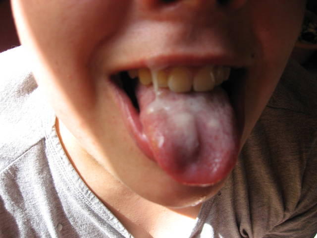 IMG_2352.JPG - pareczka252