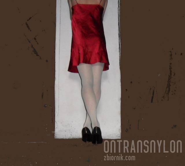 SAM_1026.JPG - OnTransNylon