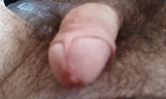 IMAG0415.1.jpg