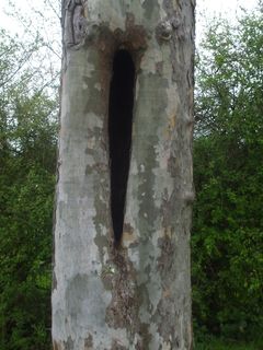 daje do myślenia ??????