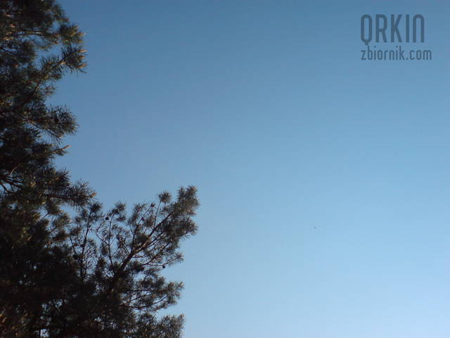 mój skrawek nieba - QRKIN