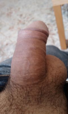 IMAG0442.1.jpg