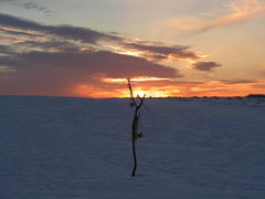 Łańcut... strach na polu