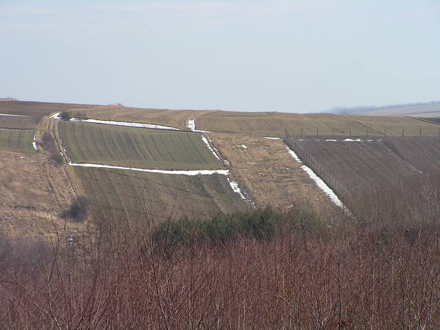 Łańcut, koniec zimy...!!!! - Sedecrem