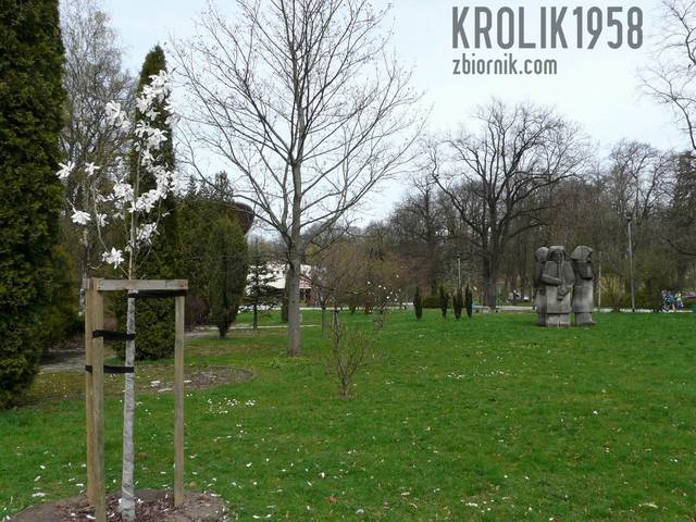 Amfiteatr - krolik1958