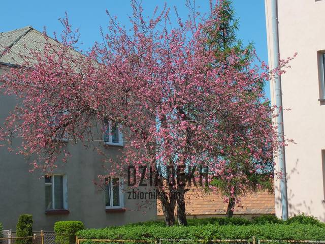 Wiosna dotarła również na Mazury - dziadekh