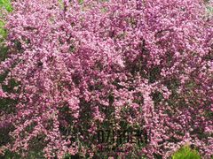 Jeszcze raz wiosna na Mazurach