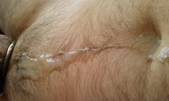 IMAG0472.1.jpg