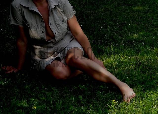 DSC02047.JPG - sloneczniki40