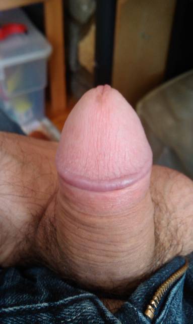 IMAG0481.1.jpg - ny39
