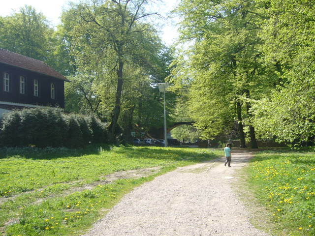 Szmaragdowe - tomek3576
